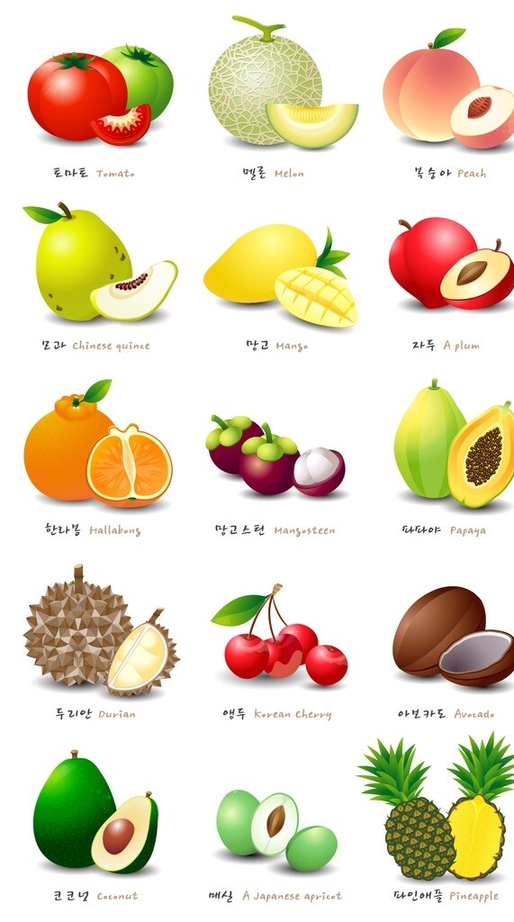 矢量彩色水果图标图片