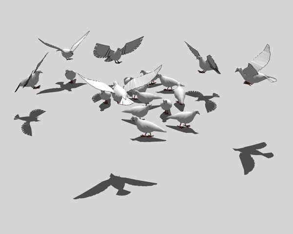 群鸽3d模型图片
