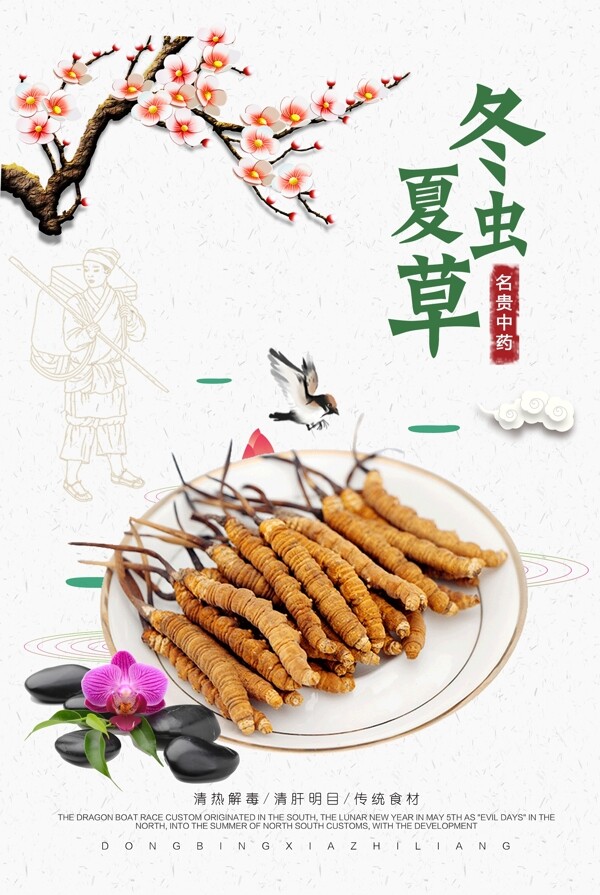 中国风冬虫夏草传统展板设计