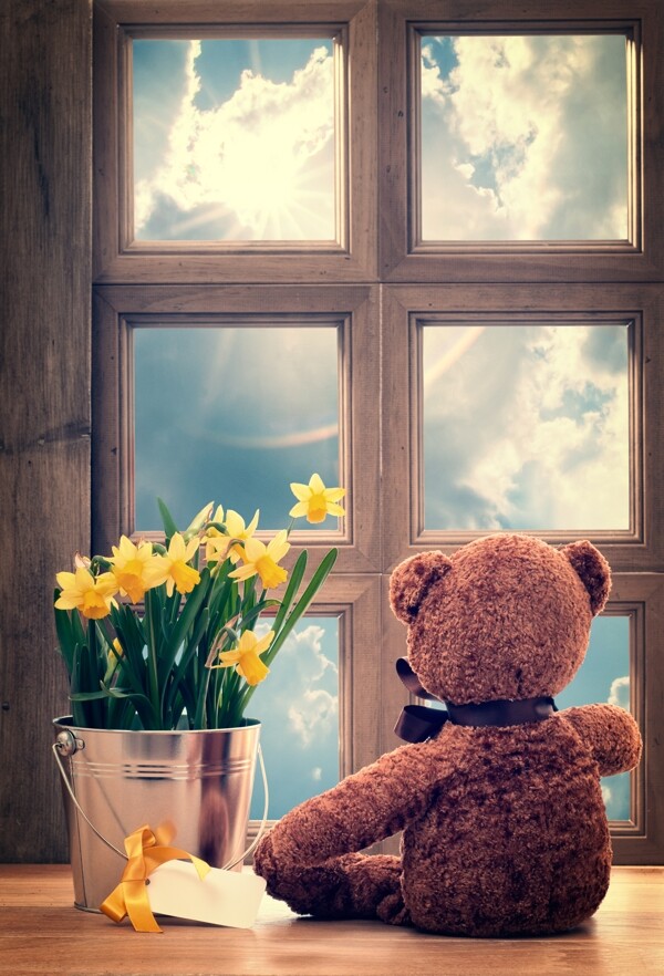 窗户与泰迪熊花盆图片