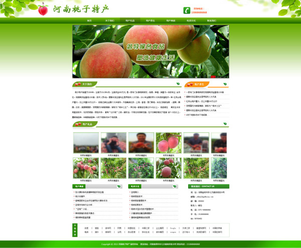 生鲜桃子网站首页
