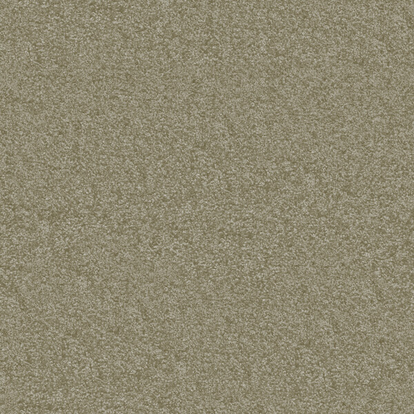 鹅卵石图案棉地毯3d模型