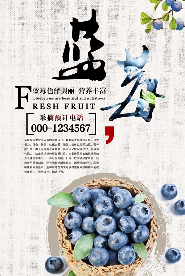 创意蓝莓水果海报