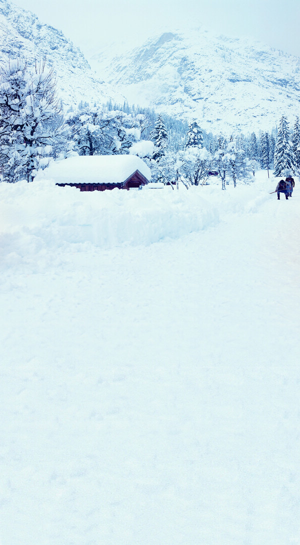 雪地里隐藏的小屋