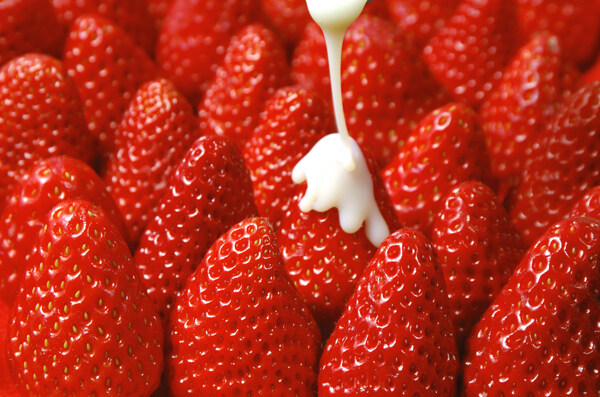 草莓094图片