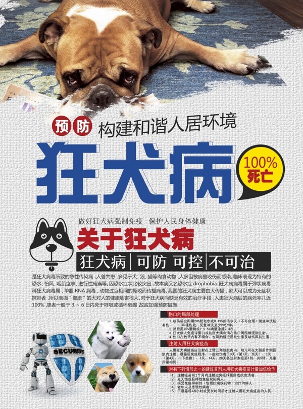 预防狂犬病宣传单设计图片