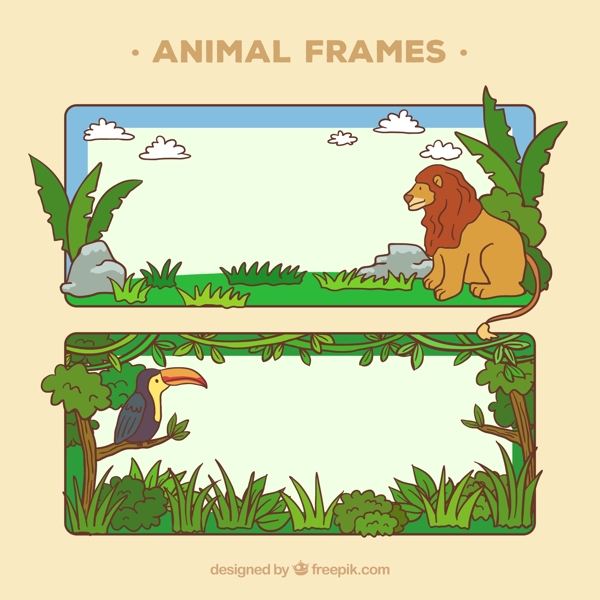 动物的框架设计
