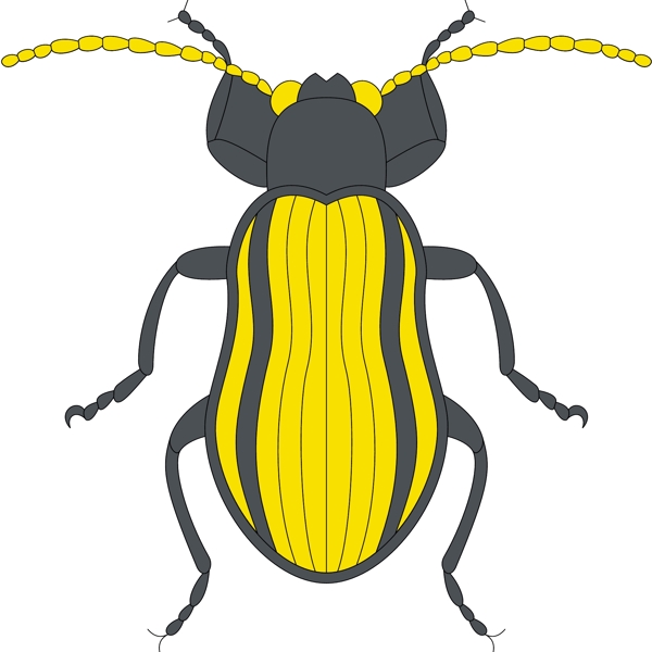 甲虫昆虫矢量素材EPS格式0101