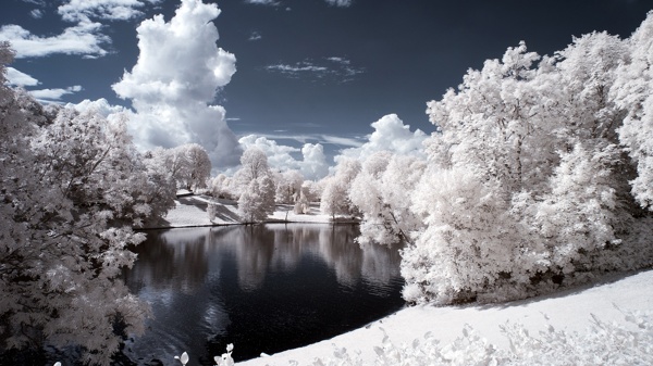 雪景