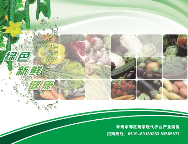 蔬菜园招商手册图片