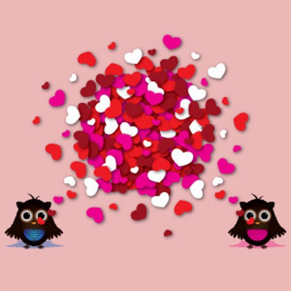 两支快乐猫头鹰的爱情故事背景海报图