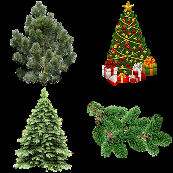 四个圣诞树免抠png透明图层素材