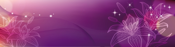 紫色花开绽放背景EPS