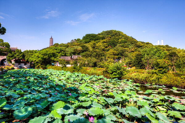 招宝山旅游风景区