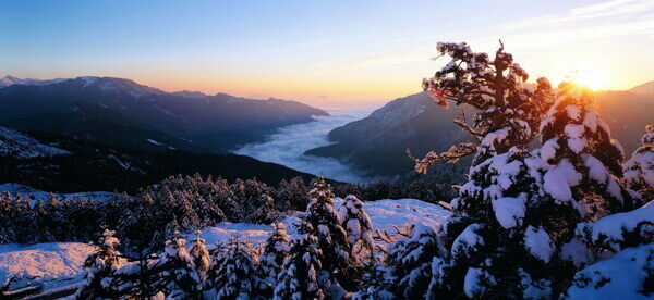 冬天雪景雪景大雪