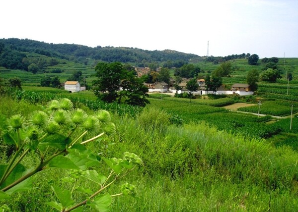 小山村图片