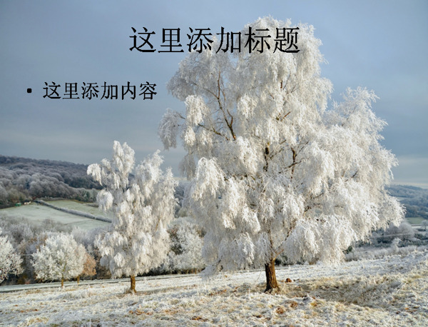 玉树琼枝的美丽雪景高清电脑PPT10