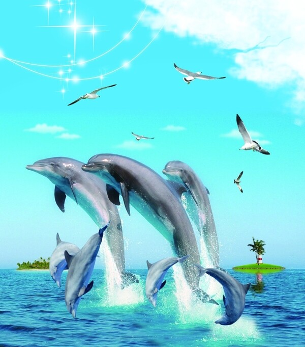 雀跃的海豚图片
