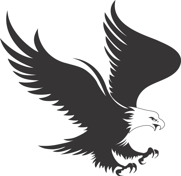老鹰标志设计