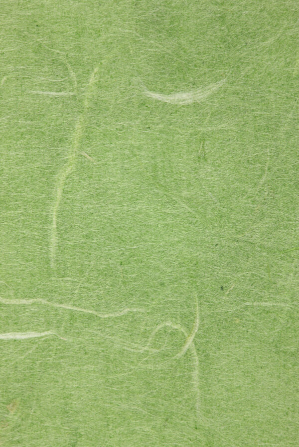 绿色纸纤维纸图片
