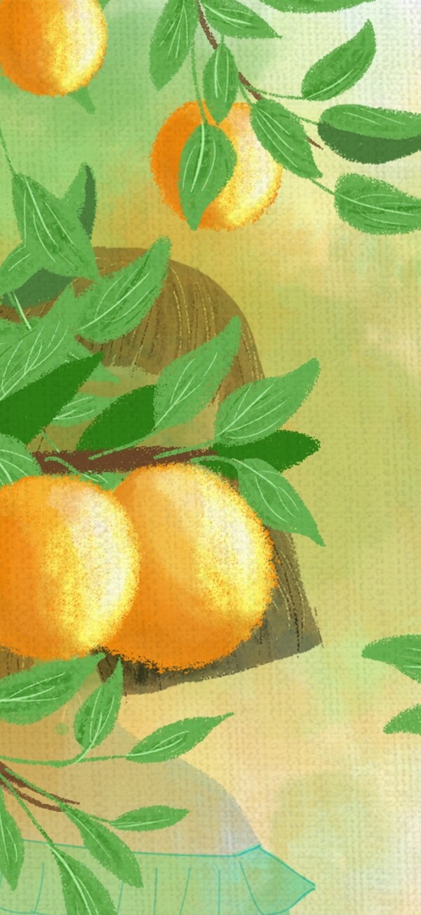 橘子林历险记水彩风插画