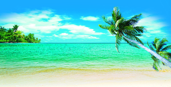 蓝天白云椰子海滩图片