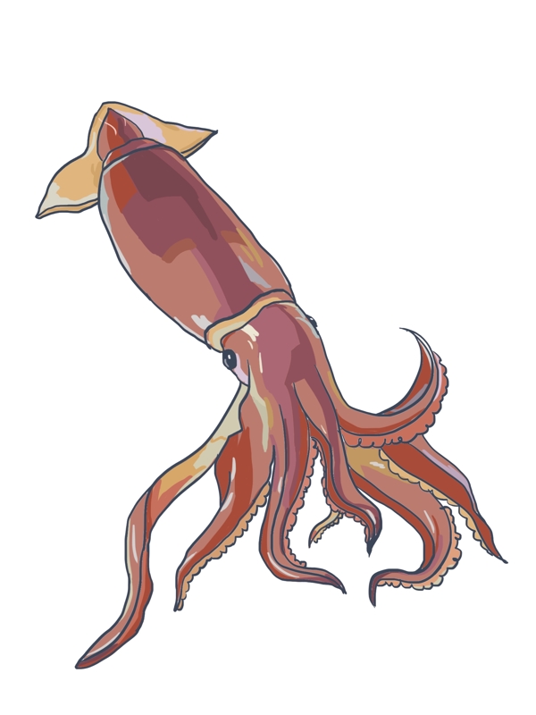 手绘海鲜章鱼插画
