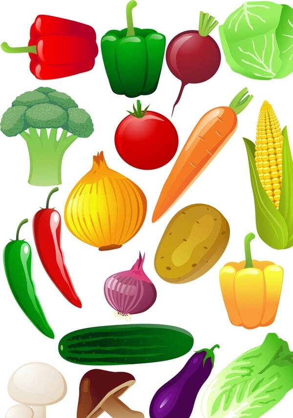 蔬菜矢量图片
