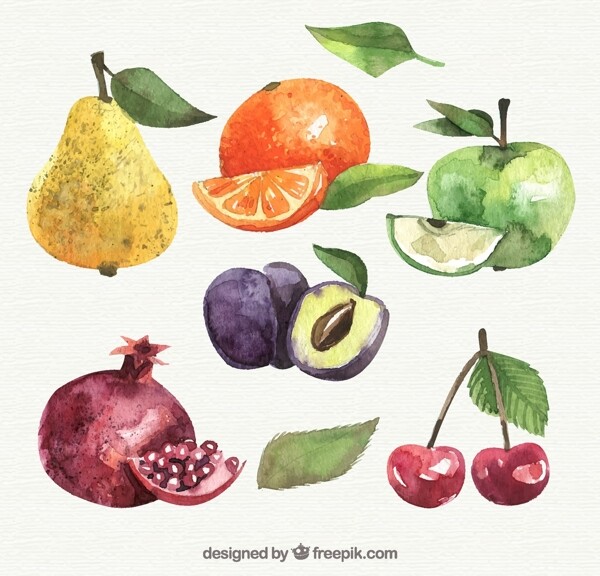 水彩绘水果图片