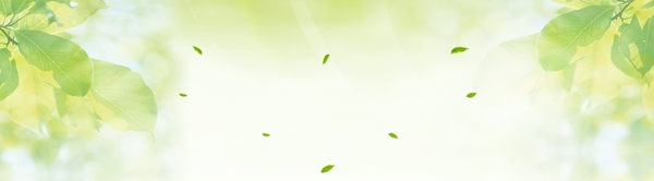 绿色自然banner背景