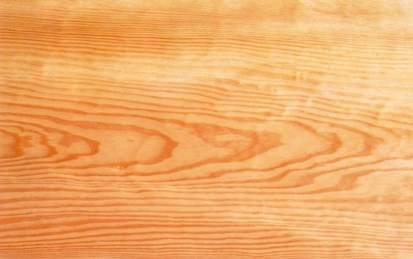 木纹树木纹理木材质图片