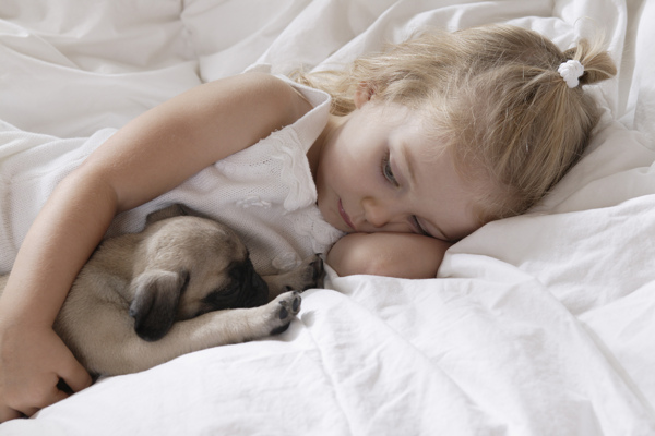 睡觉的小女孩与小狗图片