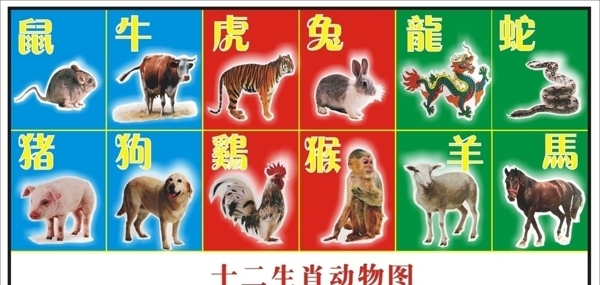 十二生肖动物图图片