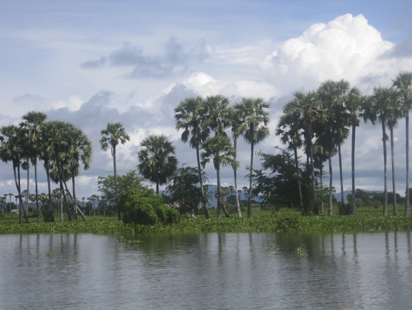 柬埔寨的自然观
