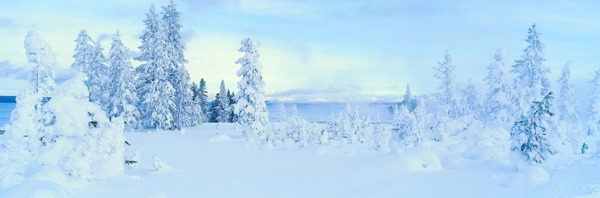 冬天雪景