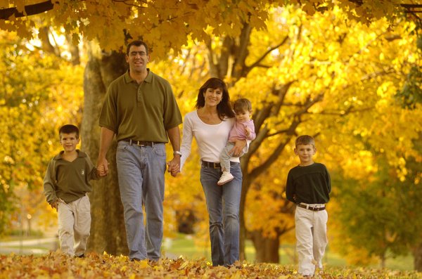 落叶上的一家人图片