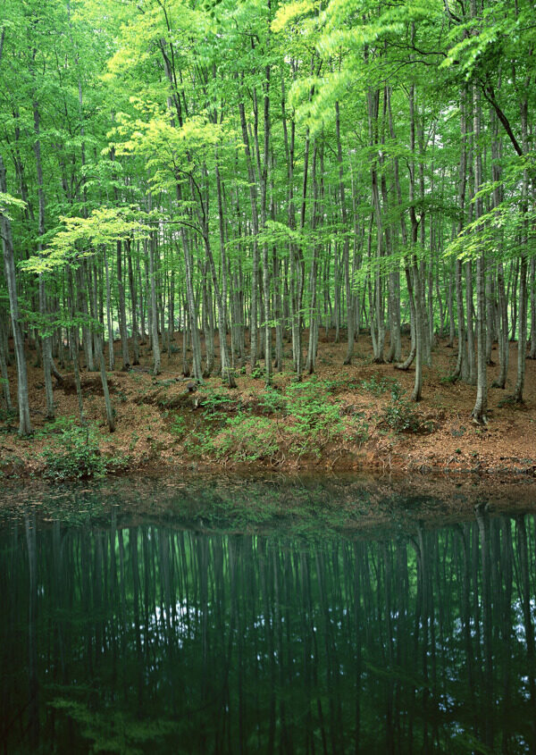 山水风景