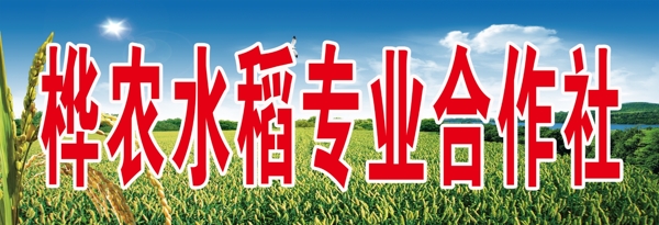 桦农水稻专业合作社图片