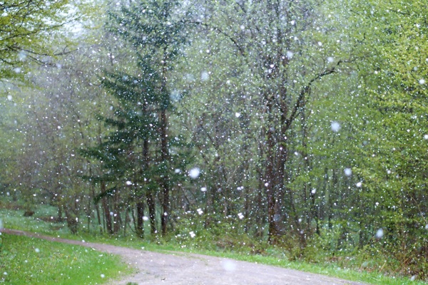 雨