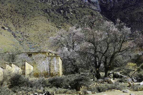 帕崩岗风景