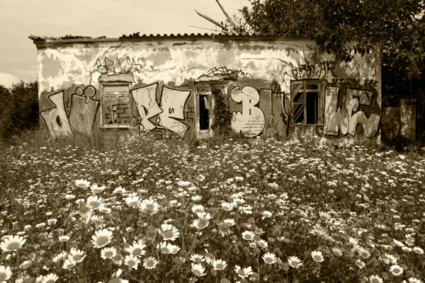 鲜花丛中的涂鸦艺术墙画图片