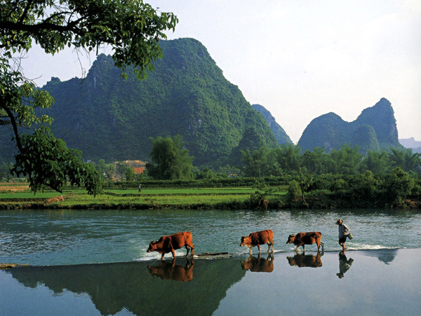 桂林山水图片