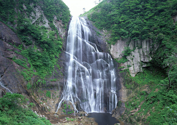 树植物水风景