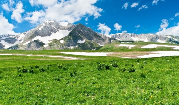 草地山峰蓝天图片