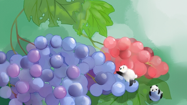 葡萄与熊猫可爱水彩手绘插画