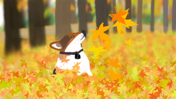 萌宠秋天树林里的狗狗