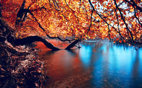 秋天美景图片