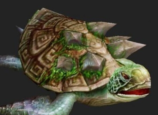 乌龟模型