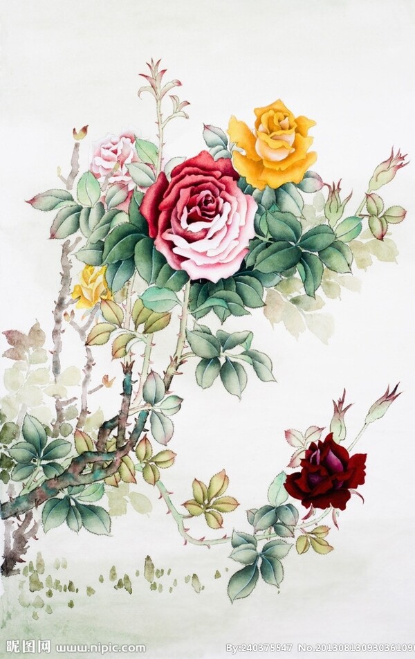 绘画玫瑰花图片