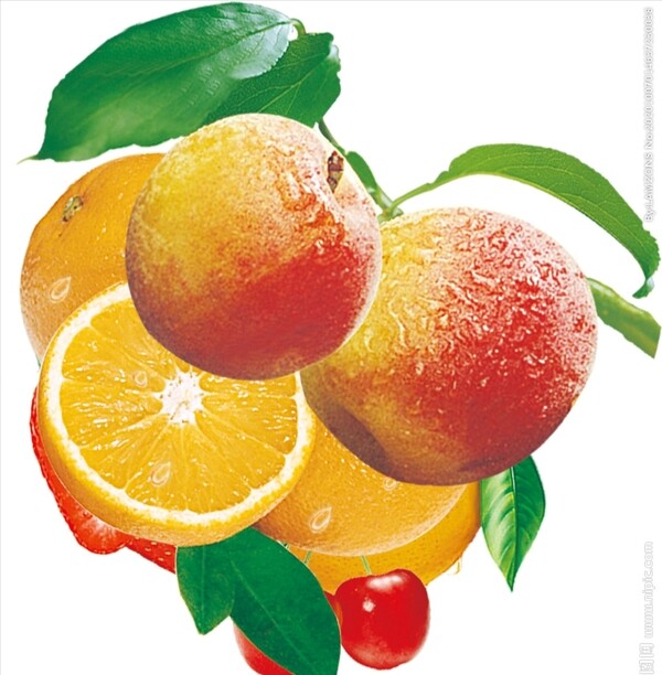 桃子橙子山楂图片